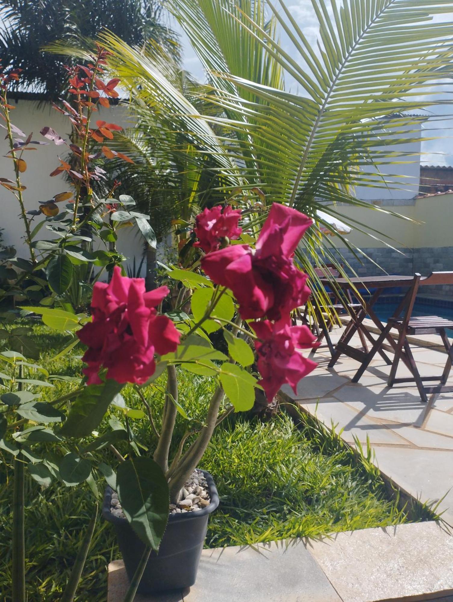 Casa Pirineus Villa Pirenópolis Eksteriør billede